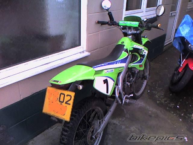 2002 DERBI SENDA R 50 | Picture 603499 motorcycle photo