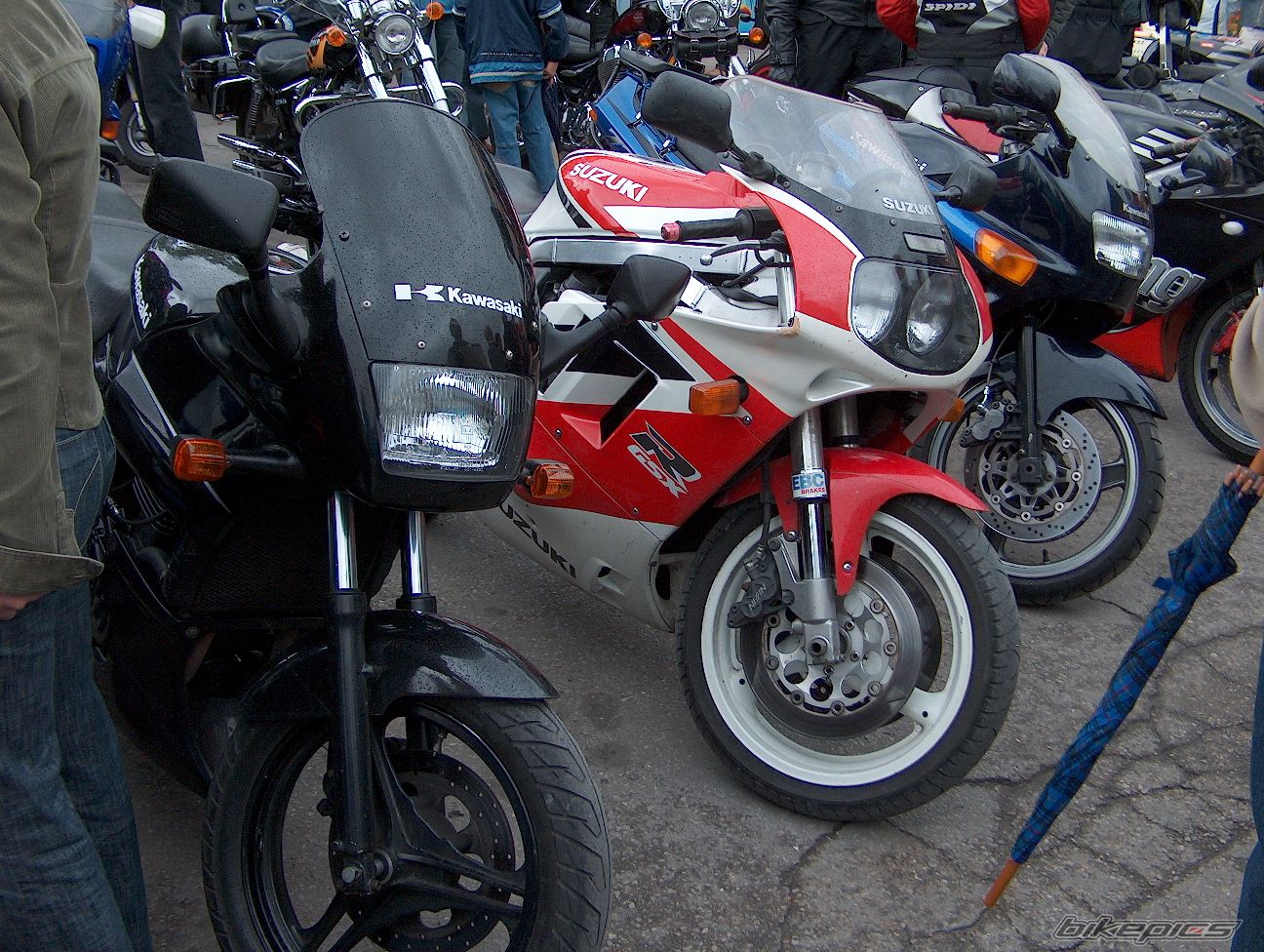   | Picture 603504 motorcycle photo