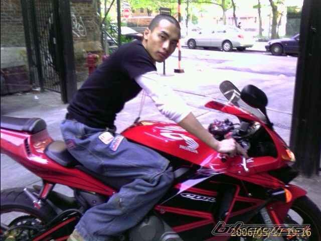 2003 HONDA CBR 600 RR | Picture 603753 motorcycle photo