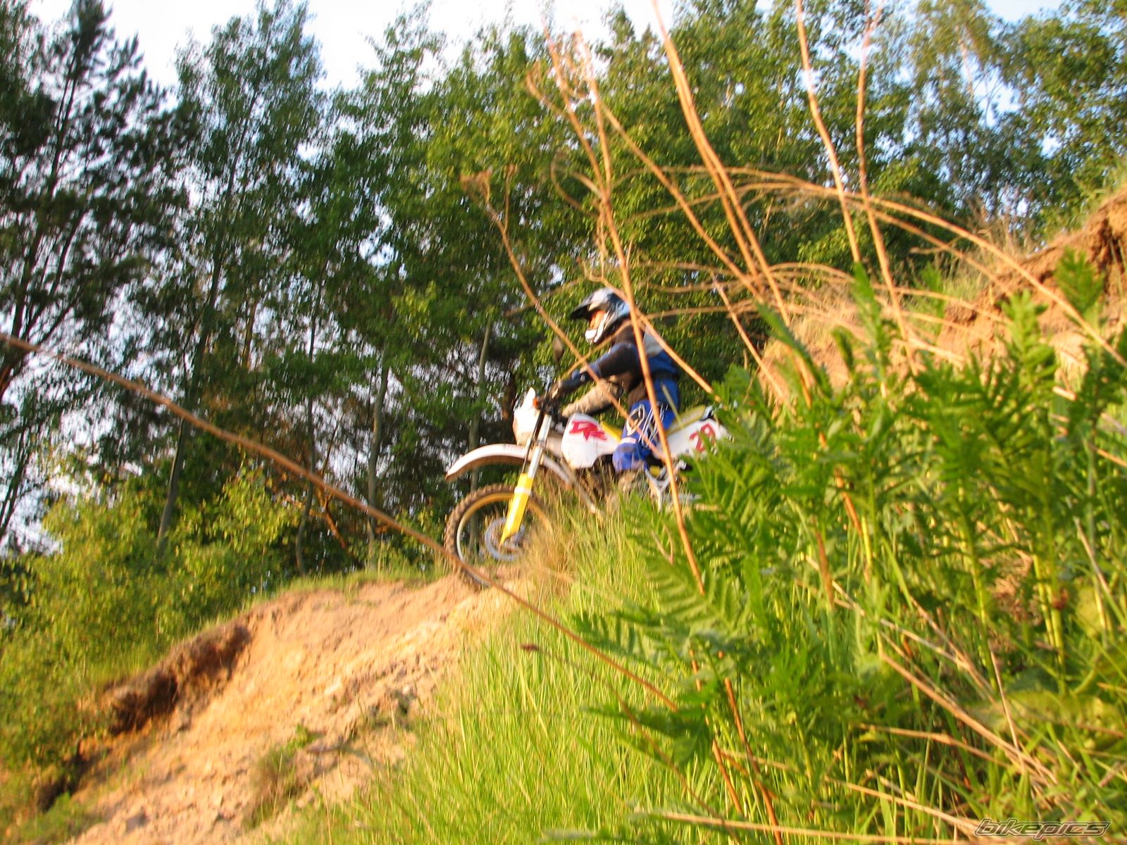 1993 SUZUKI DR 350 | Picture 603859 motorcycle photo