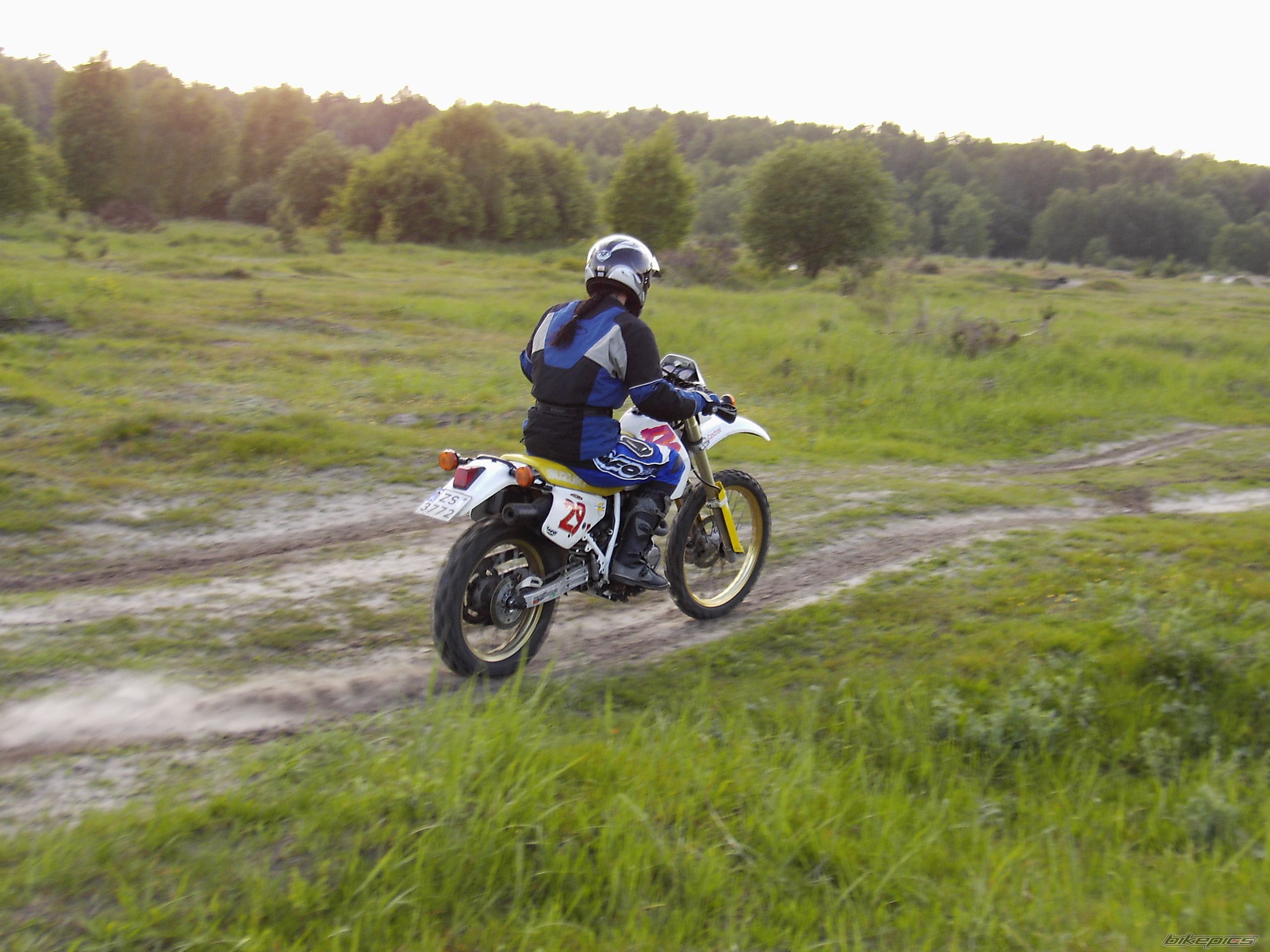 1993 SUZUKI DR 350 | Picture 603875 motorcycle photo