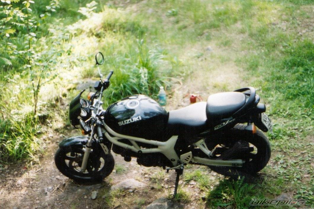 2000 SUZUKI SV 650 | Picture 60479 motorcycle photo