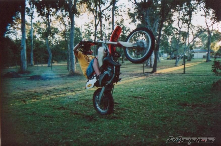 1999 HONDA CR 80 | Picture 604876 motorcycle photo
