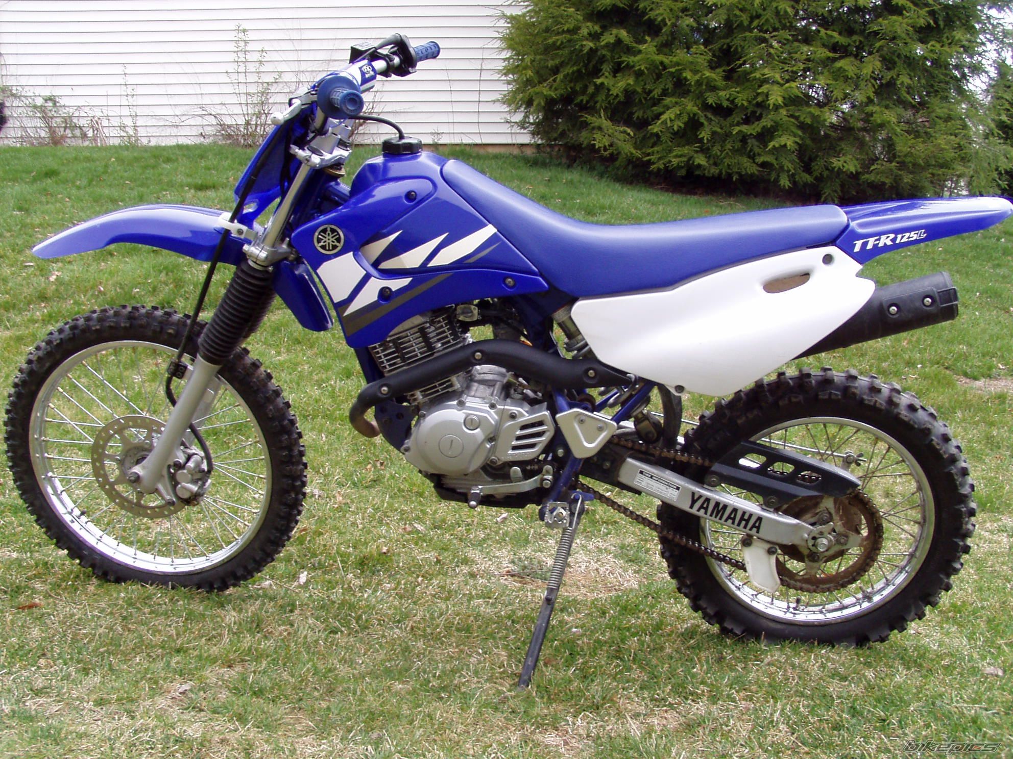 2003 YAMAHA TTR 125L | Picture 605245 motorcycle photo