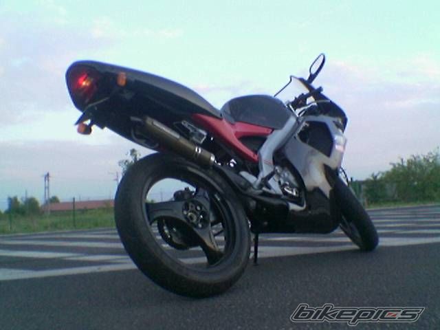 1997 APRILIA RS 50 | Picture 605360 motorcycle photo