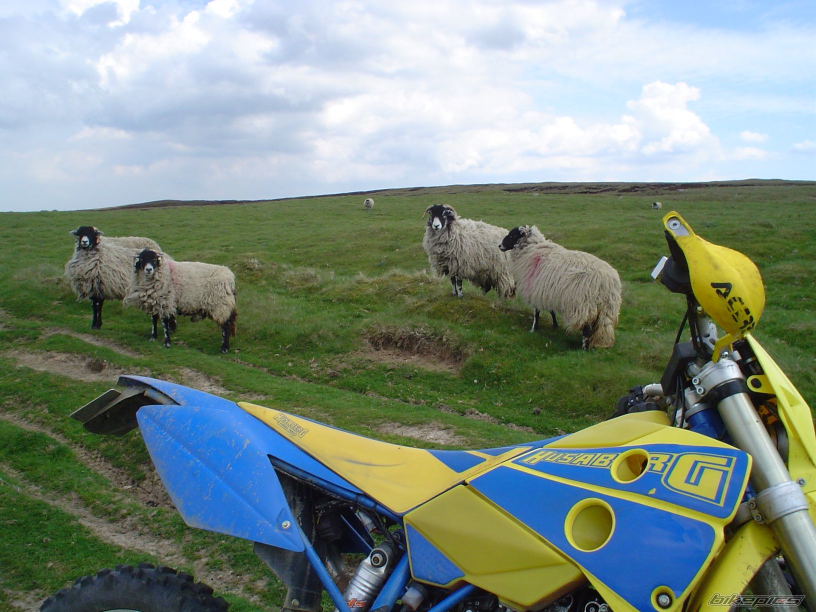 2003 HUSABERG FE 400 E | Picture 605472 motorcycle photo