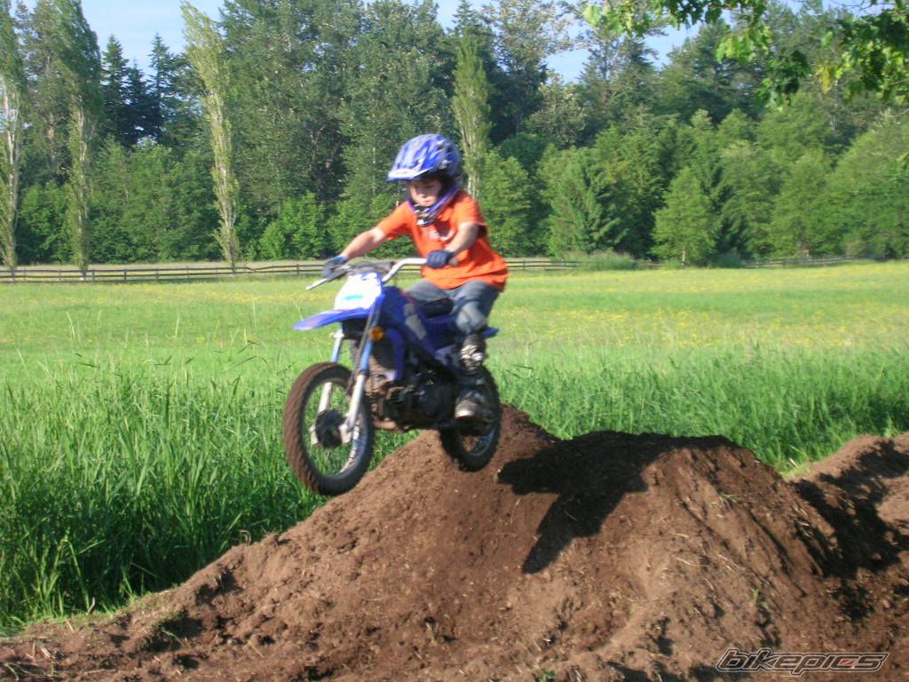 2001 YAMAHA PW 80 | Picture 605635 motorcycle photo