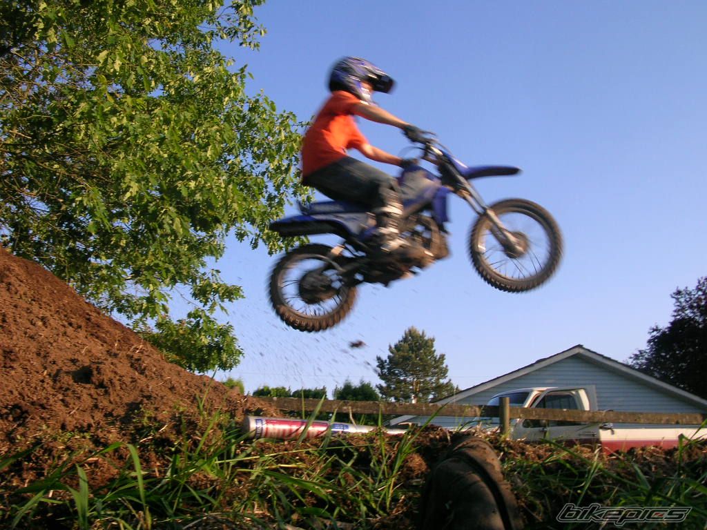 2001 YAMAHA PW 80 | Picture 605640 motorcycle photo