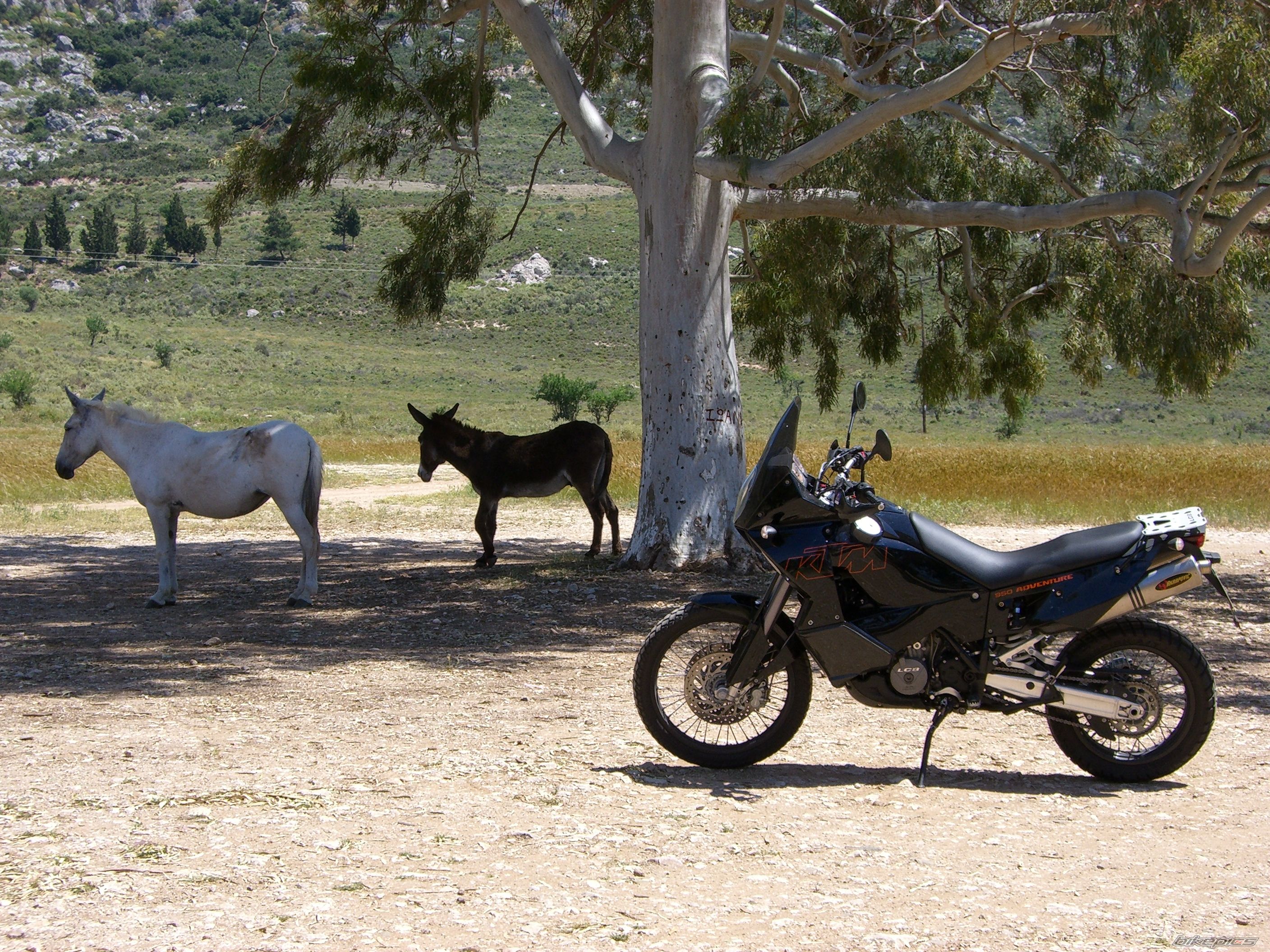 2004 KTM 950 ADVENTURE | Picture 605770 motorcycle photo