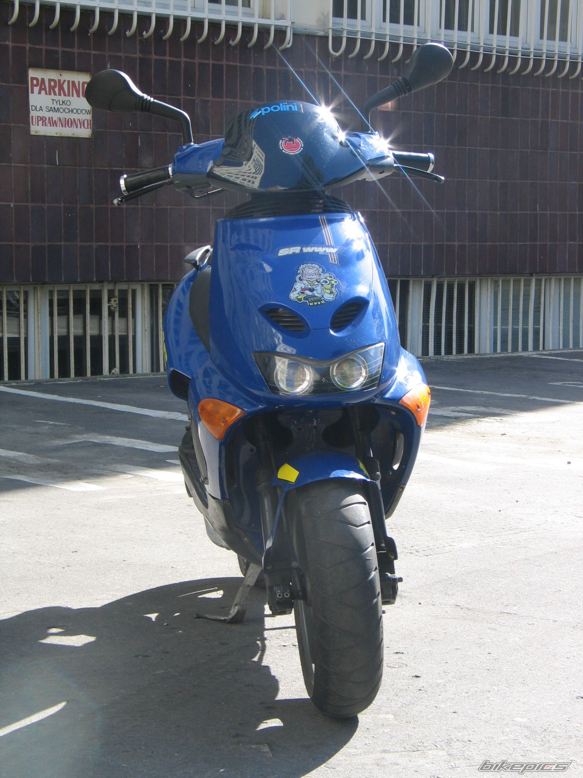 1998 APRILIA SR WWW 50 | Picture 605917 motorcycle photo