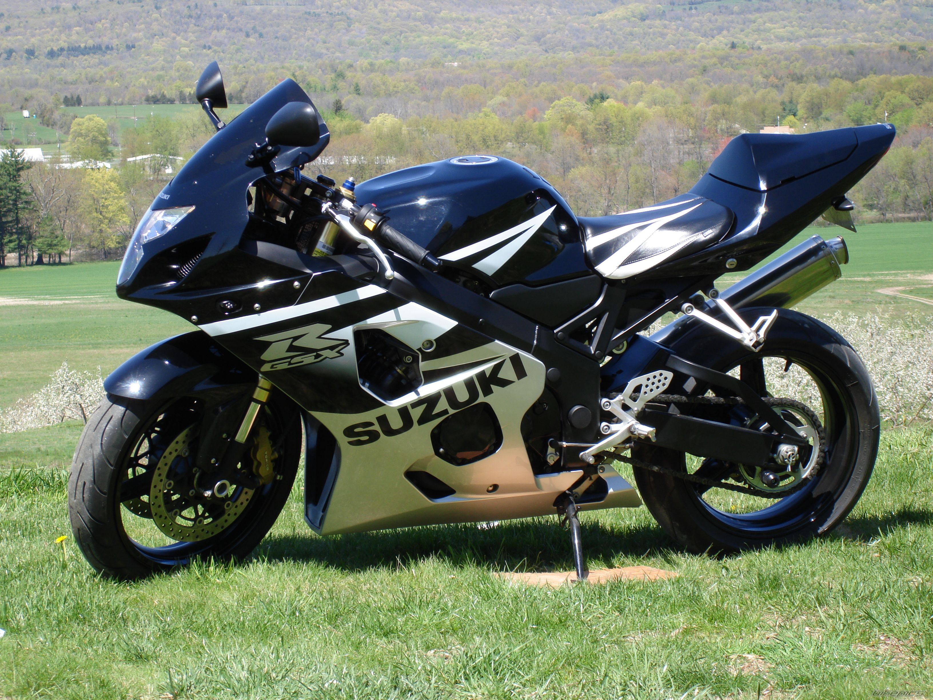 2005 SUZUKI GSX R 600 | Picture 607052 motorcycle photo