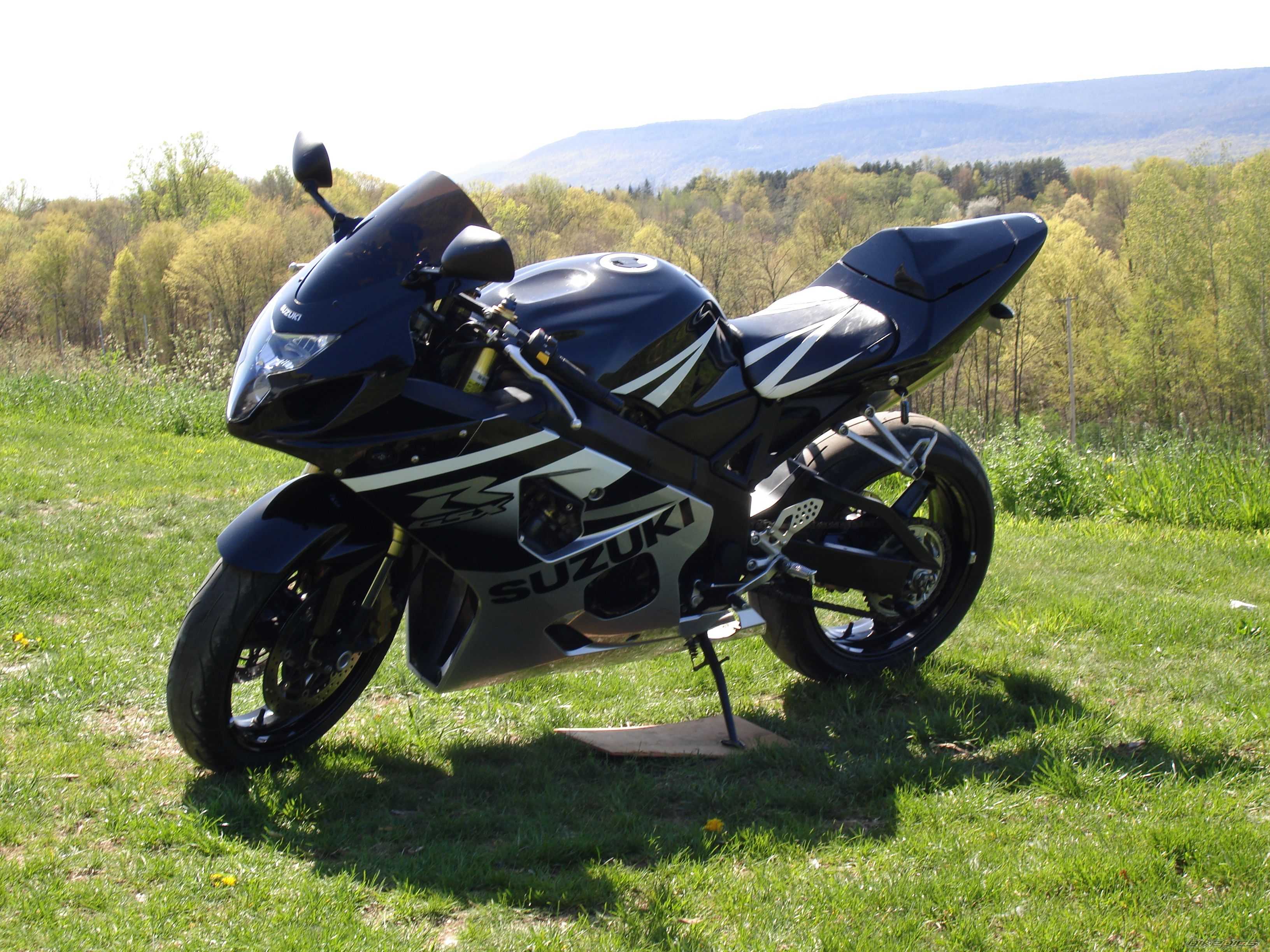 2005 SUZUKI GSX R 600 | Picture 607270 motorcycle photo