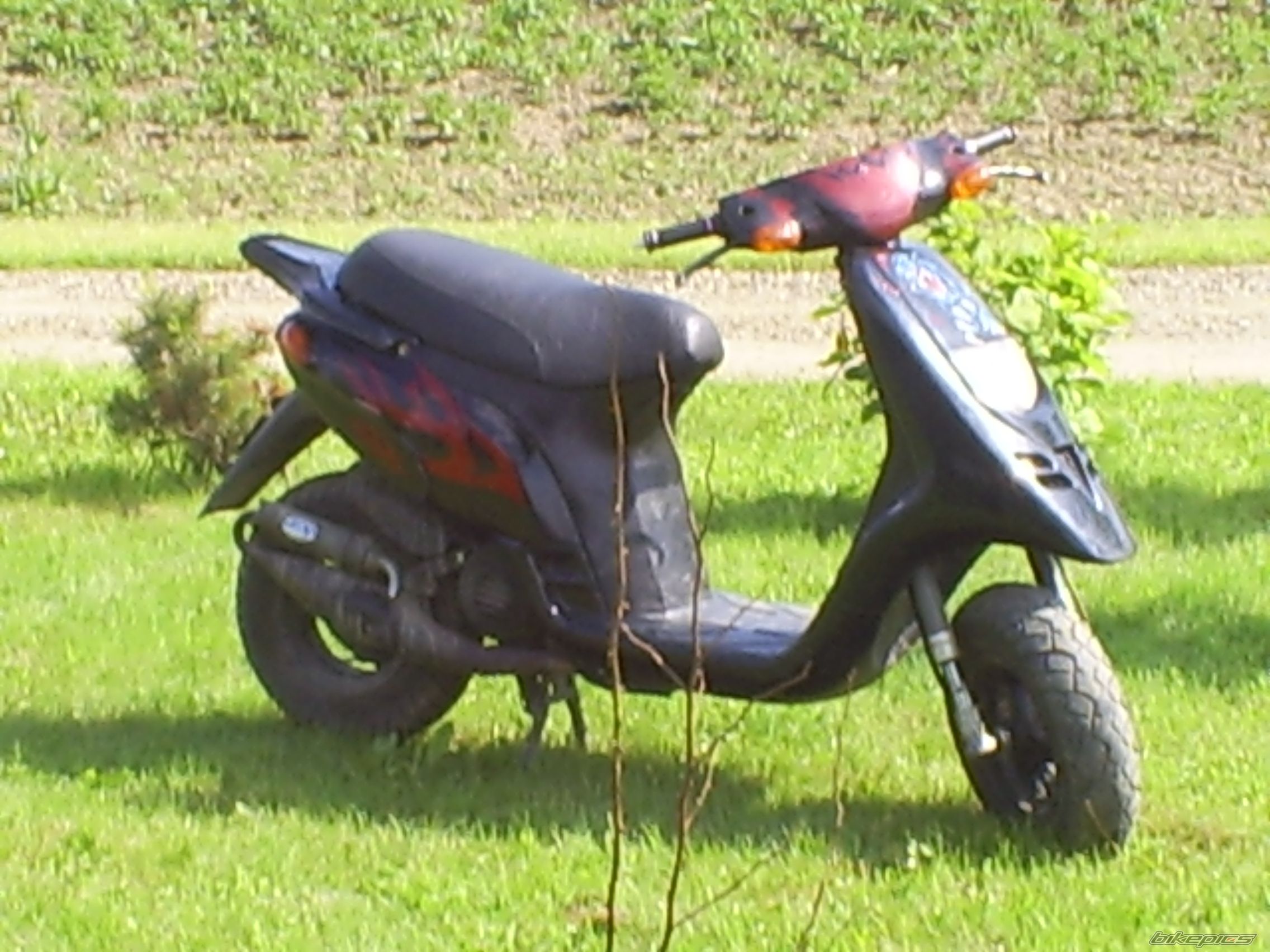 2006 GILERA TYPHOON 50 | Picture 607931 motorcycle photo