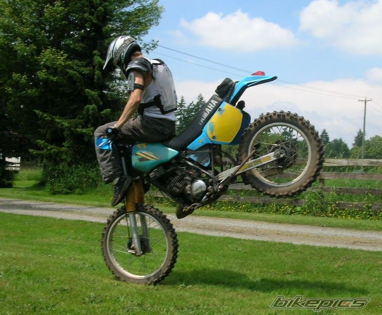 1984 YAMAHA IT 200 | Picture 608119 motorcycle photo