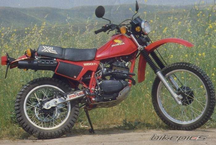 1982 HONDA XL 250 | Picture 608149 motorcycle photo