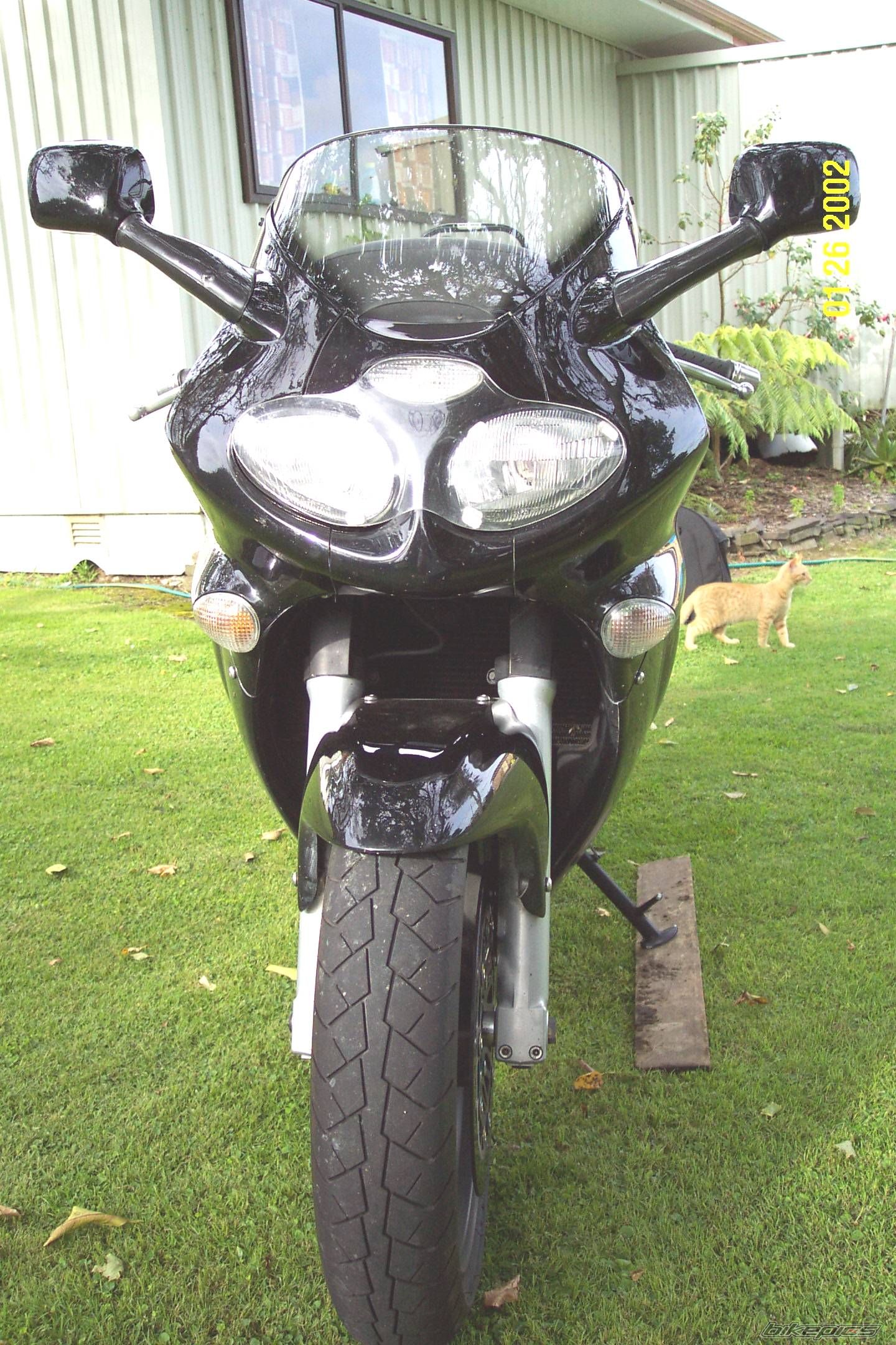 2000 TRIUMPH SPRINT ST | Picture 608222 motorcycle photo