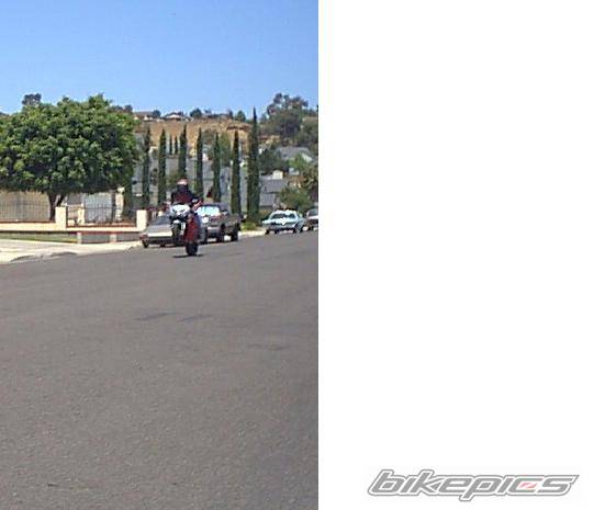 2000 HONDA CBR 600 | Picture 6086 motorcycle photo