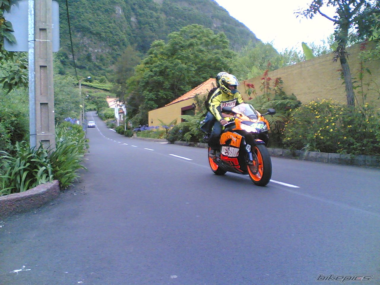 2004 HONDA CBR 1000  RR | Picture 608680 motorcycle photo