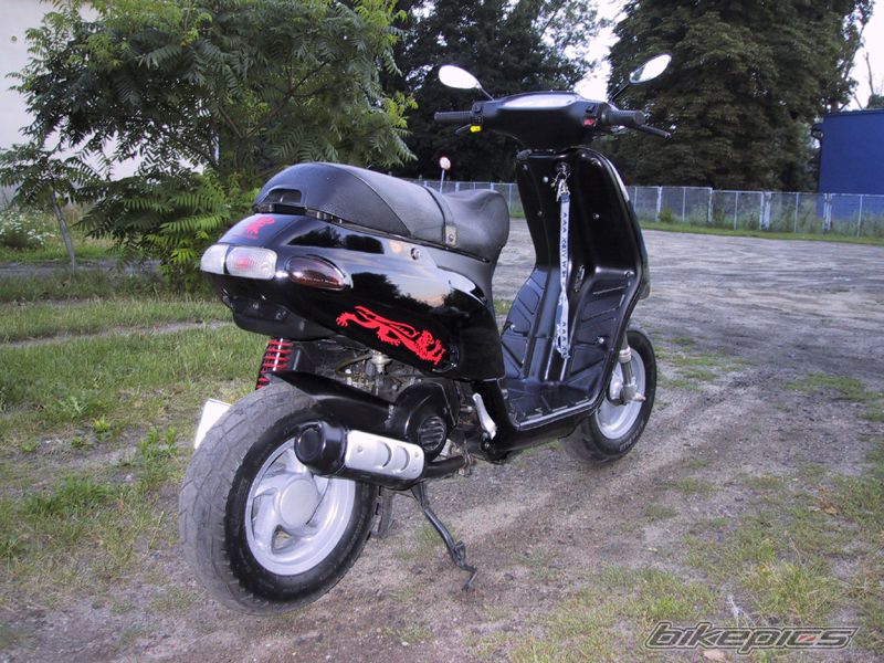 1996 PIAGGIO TYPHOON 50 | Picture 608752 motorcycle photo