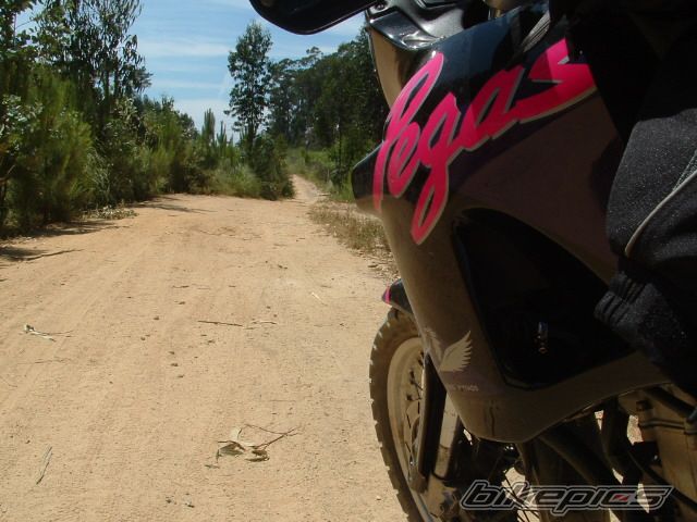 1996 APRILIA PEGASO 650 | Picture 608814 motorcycle photo