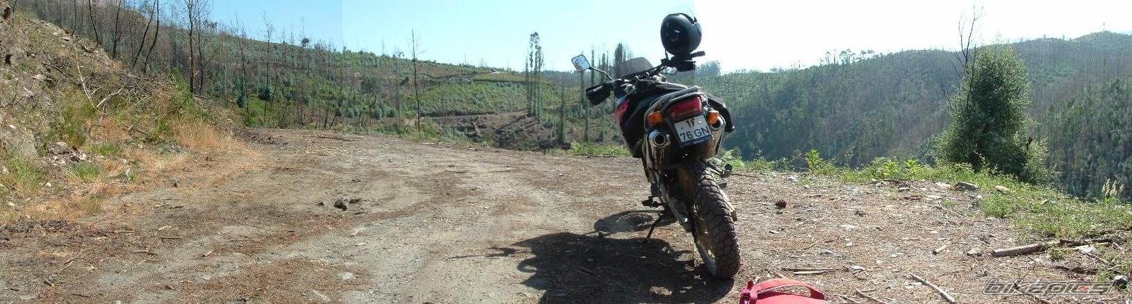1996 APRILIA PEGASO 650 | Picture 608818 motorcycle photo