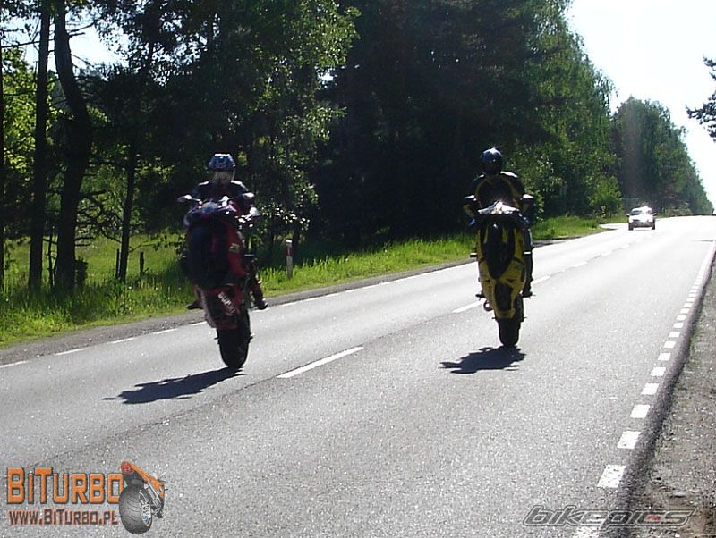 2007 SUZUKI GSX R 1000 | Picture 609279 motorcycle photo