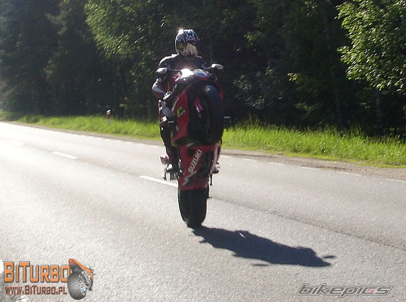 2007 SUZUKI GSX R 1000 | Picture 609280 motorcycle photo