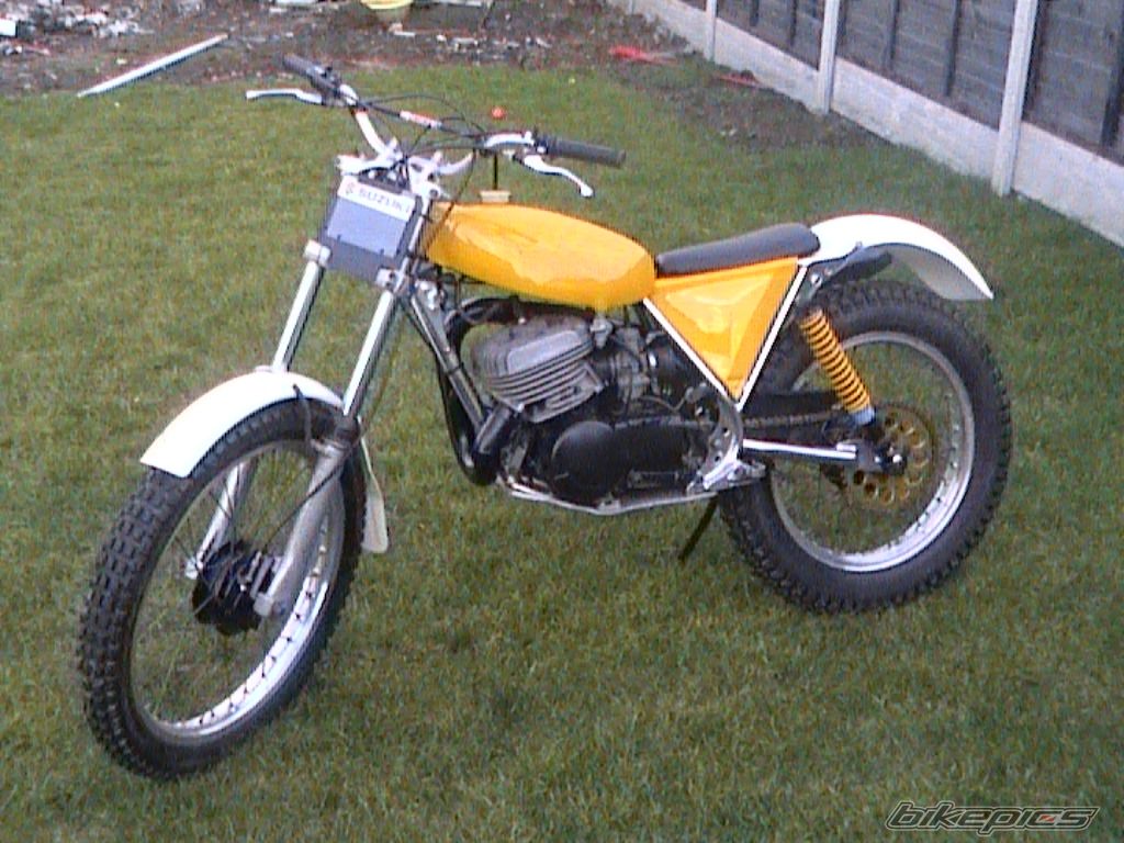 1980 SUZUKI BEAMISH RL 250 | Picture 609820 motorcycle photo