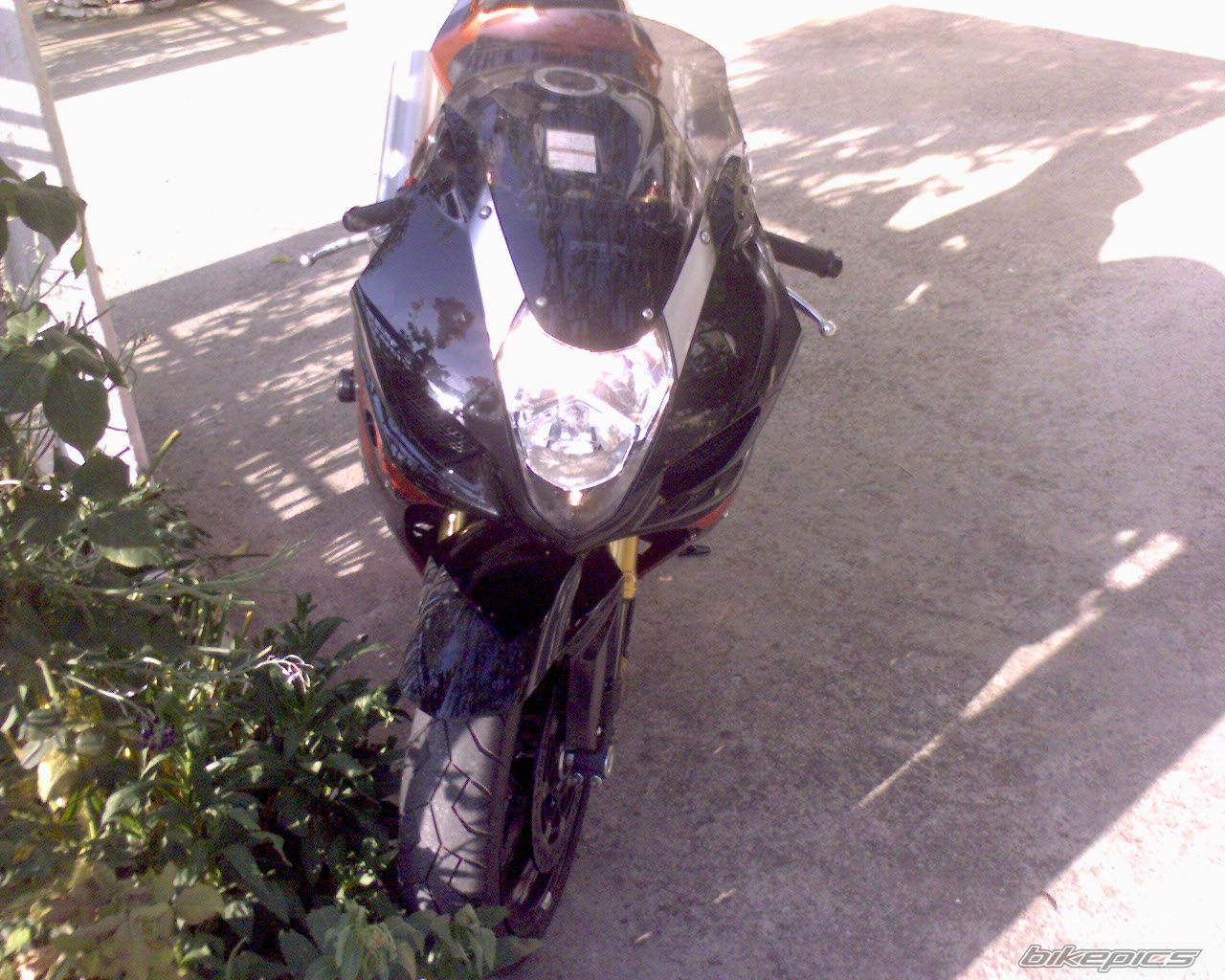2008 SUZUKI GSX R 1000 | Picture 610231 motorcycle photo