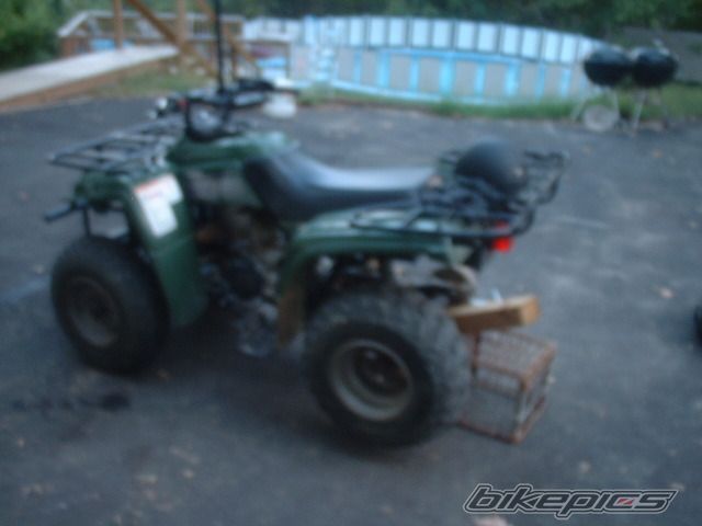 2002 YAMAHA BEARTRACKER | Picture 610326 motorcycle photo