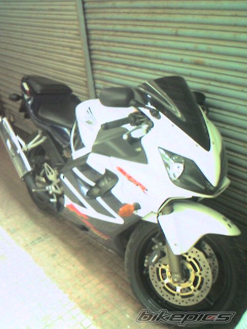 2002 HONDA CBR 600 | Picture 610561 motorcycle photo