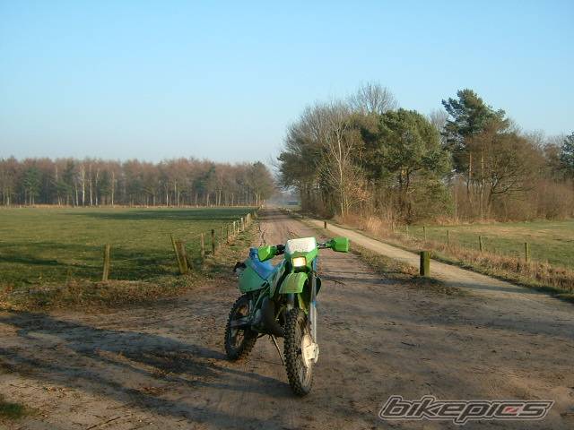 1993 KAWASAKI KDX 250 | Picture 61057 motorcycle photo