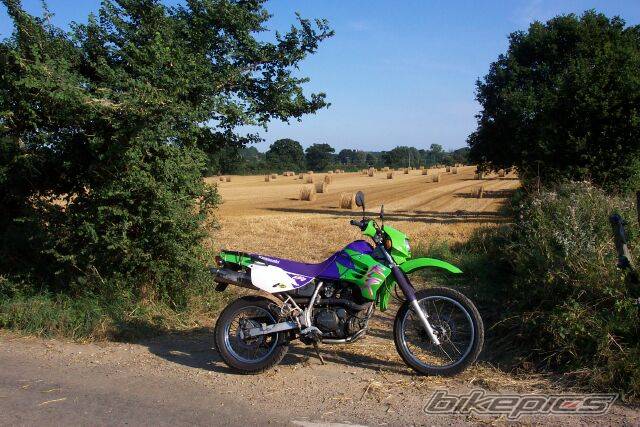 1996 KAWASAKI KLR 650 | Picture 61061 motorcycle photo