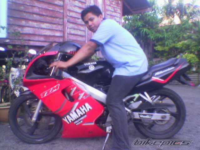 2006 YAMAHA TZM 150 | Picture 610684 motorcycle photo