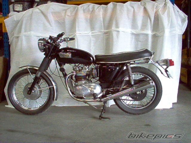 2005 TRIUMPH T100R | Picture 610715 motorcycle photo