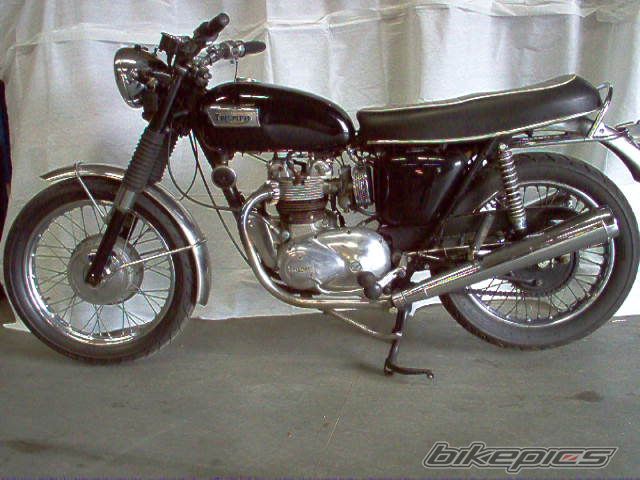 2005 TRIUMPH T100R | Picture 610719 motorcycle photo
