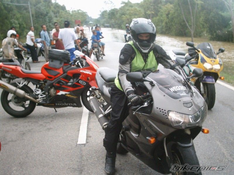 1995 HONDA CBR 900 | Picture 610785 motorcycle photo