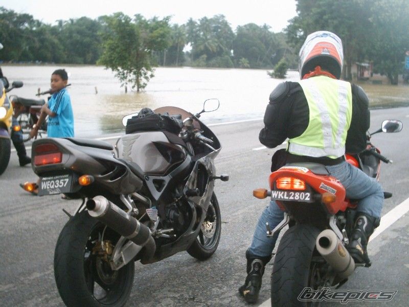 1995 HONDA CBR 900 | Picture 610790 motorcycle photo