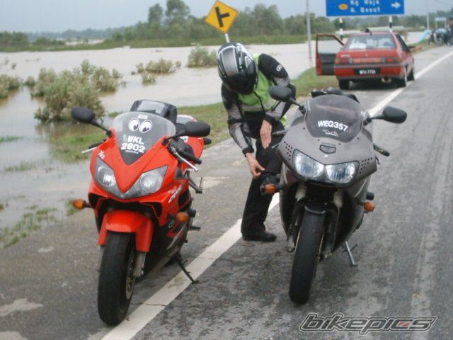 1995 HONDA CBR 900 | Picture 610794 motorcycle photo