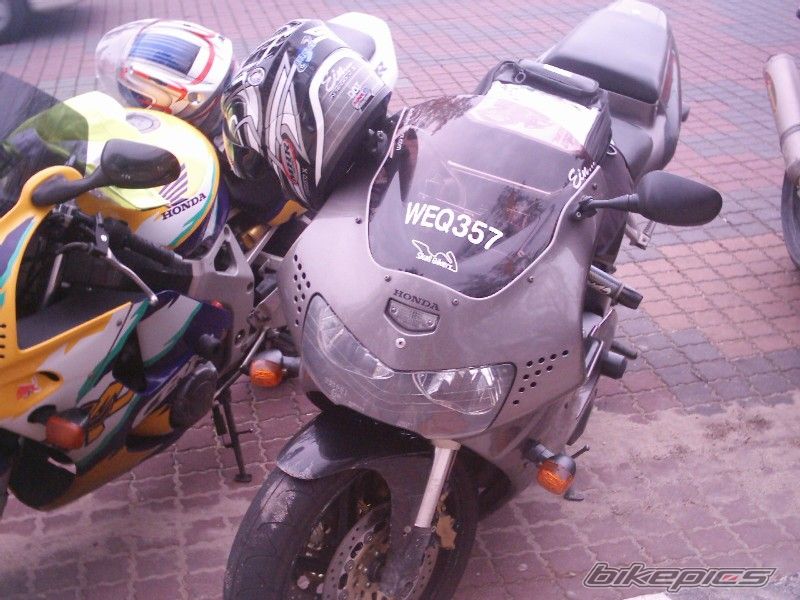 1995 HONDA CBR 900 | Picture 610797 motorcycle photo