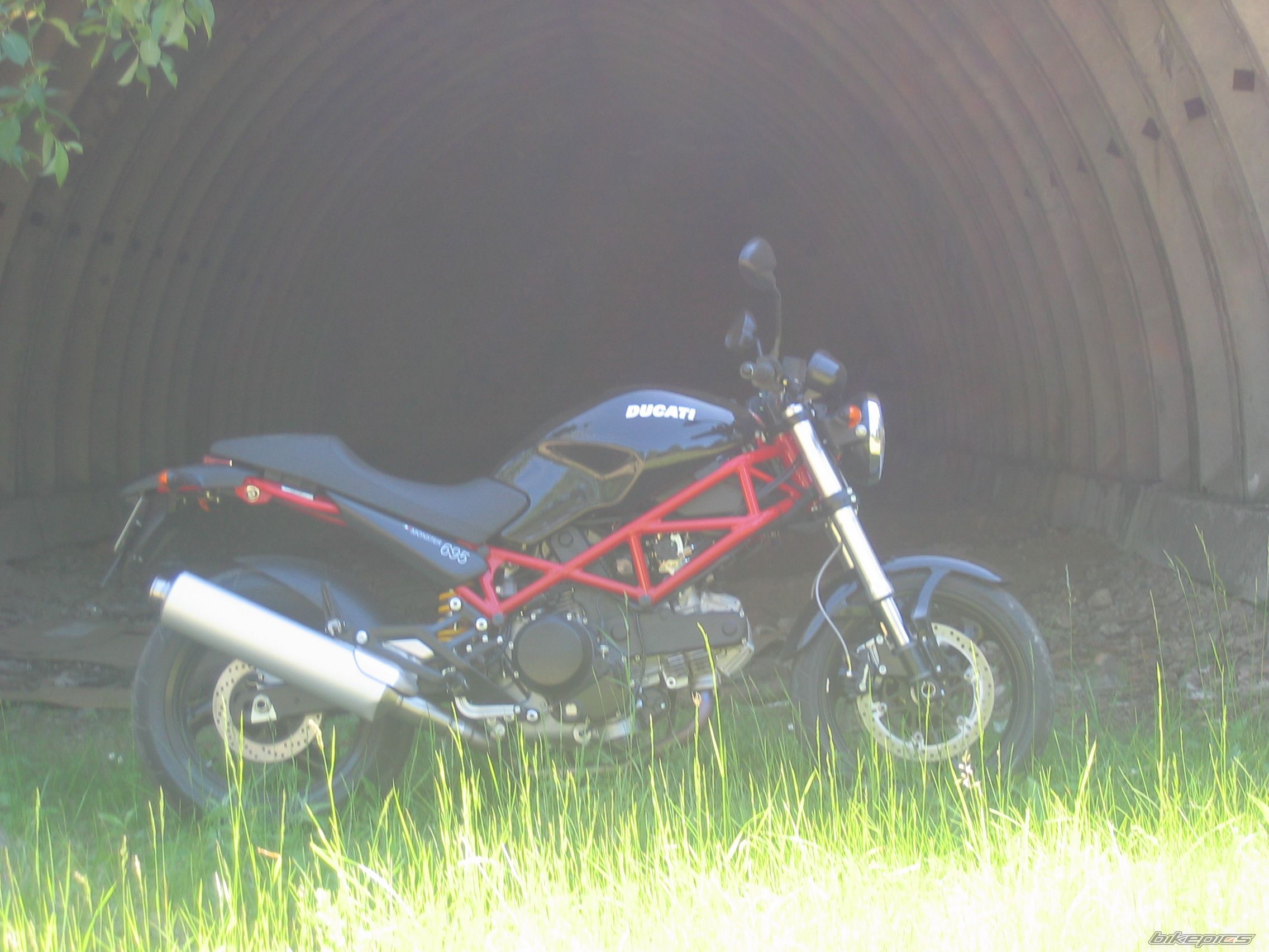 2006 DUCATI MONSTER 695 | Picture 612273 motorcycle photo