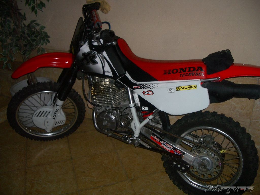    | Picture 613392 motorcycle photo