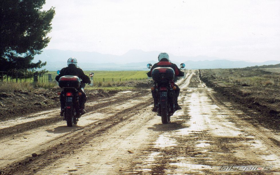 1998 HONDA XL 600V TRANSALP | Picture 613754 motorcycle photo