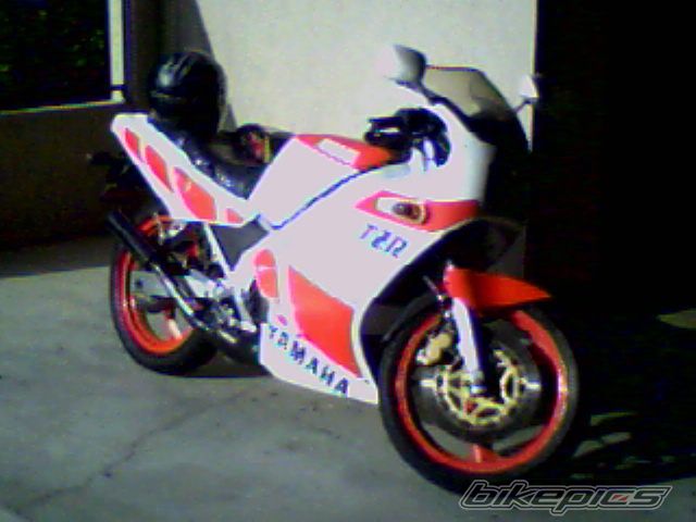 1987 YAMAHA TZR 250 | Picture 613778 motorcycle photo