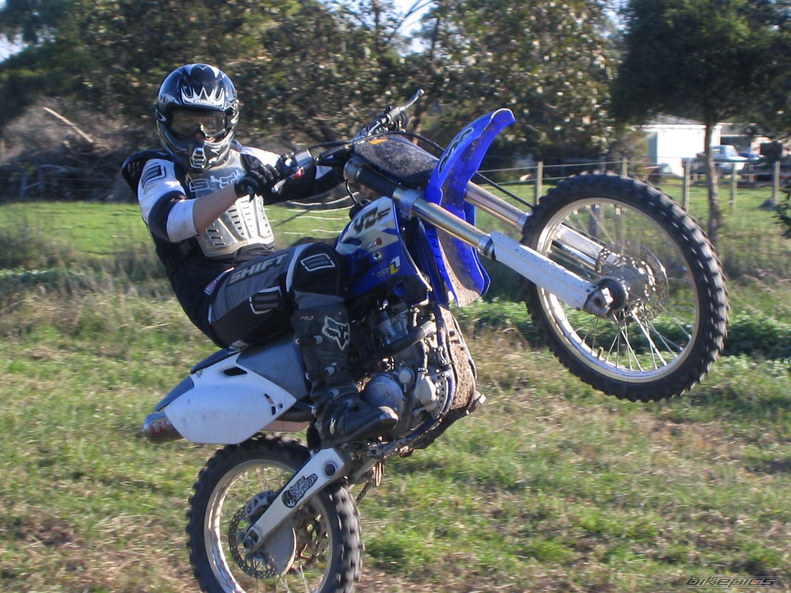 2004 YAMAHA YZ 250F | Picture 614036 motorcycle photo