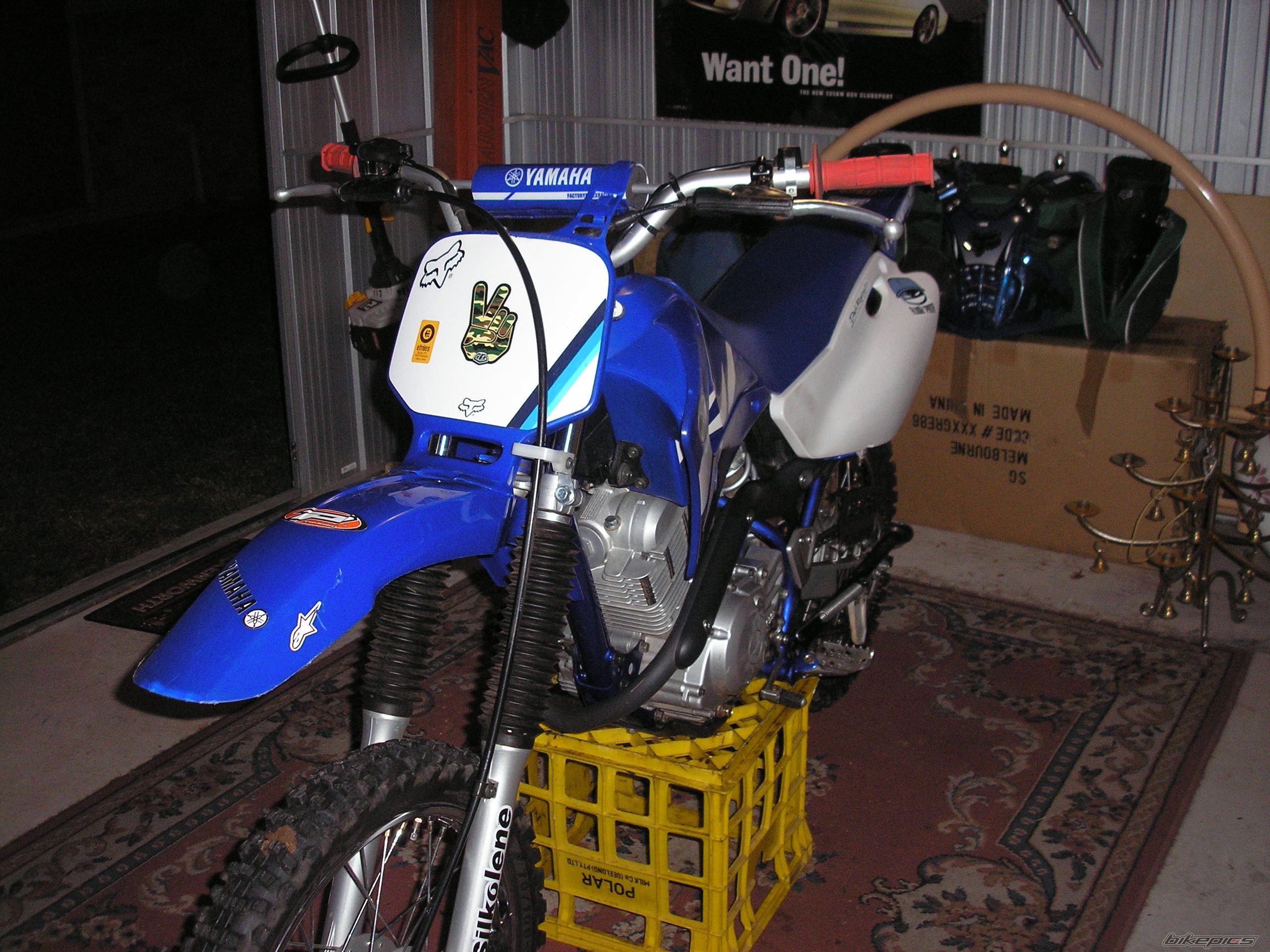 2003 YAMAHA TTR 125 | Picture 614857 motorcycle photo