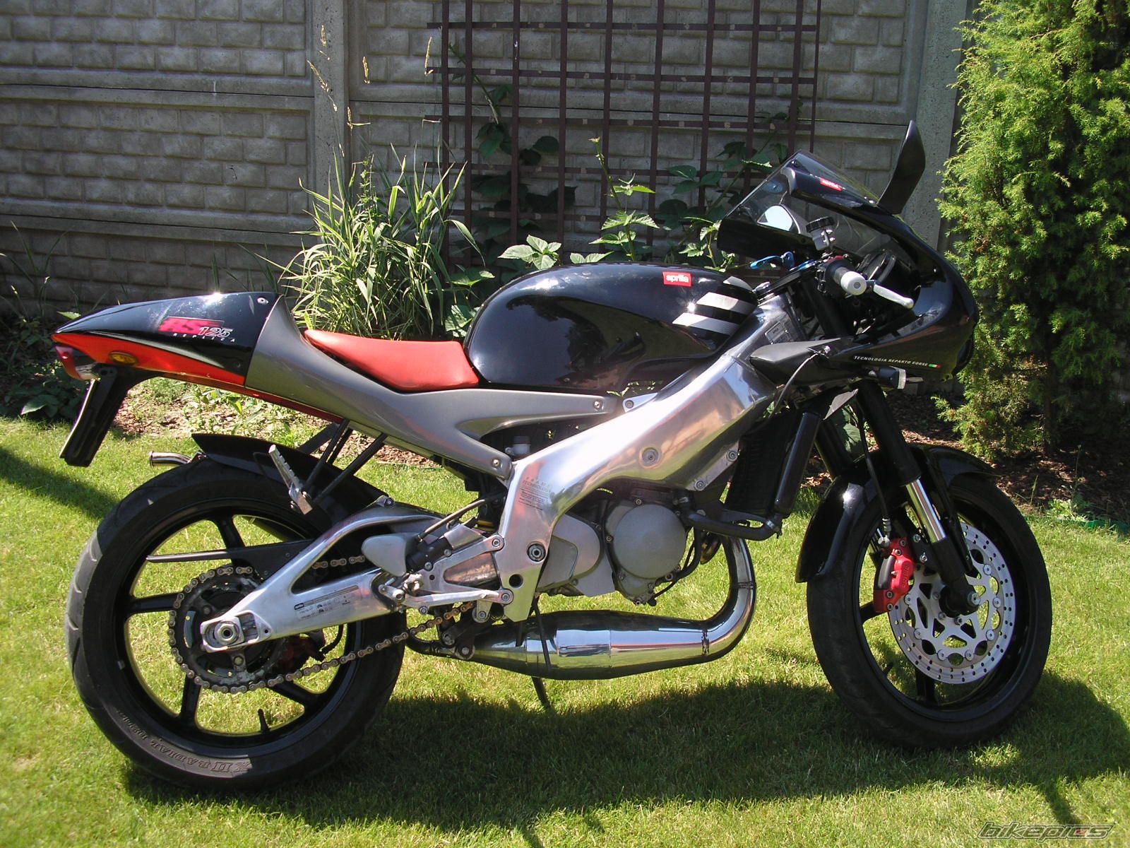 2003 APRILIA RS 125 | Picture 614880 motorcycle photo