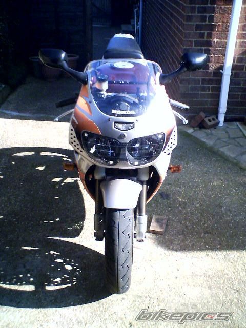 1995 HONDA CBR 900 | Picture 615336 motorcycle photo