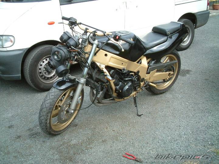 1989 YAMAHA FZR 600 | Picture 61541 motorcycle photo