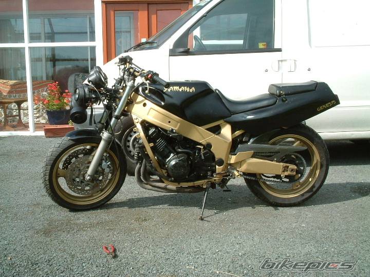 1989 YAMAHA FZR 600 | Picture 61542 motorcycle photo